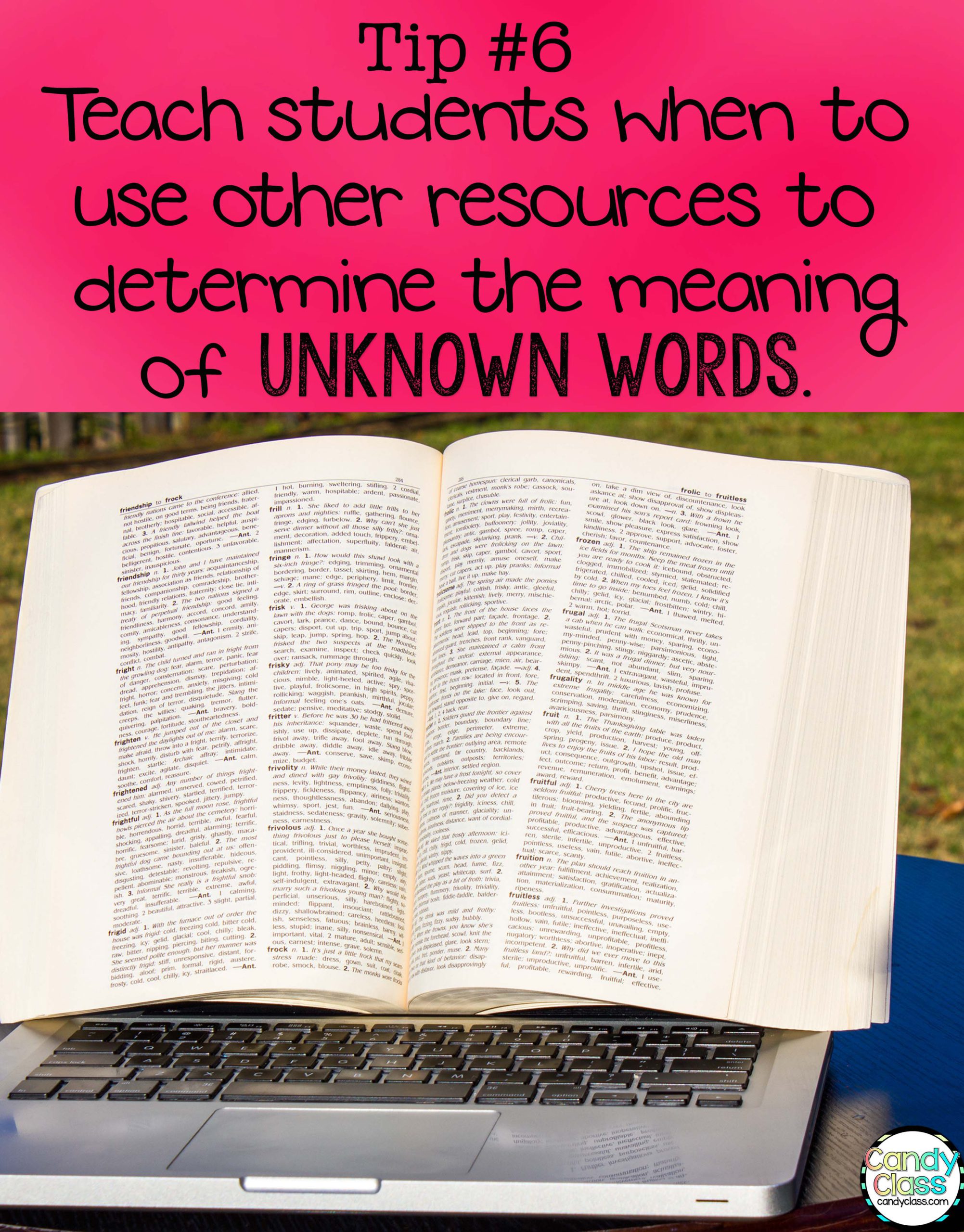 Vocabulary Strategies Tip on Using Dictionaries