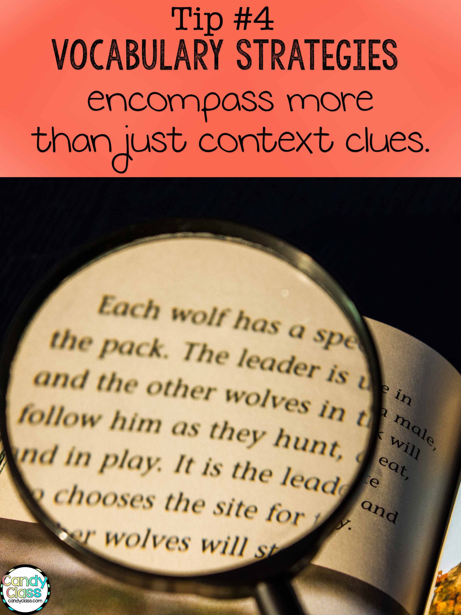 Vocabulary Strategies encompass more than just context clues