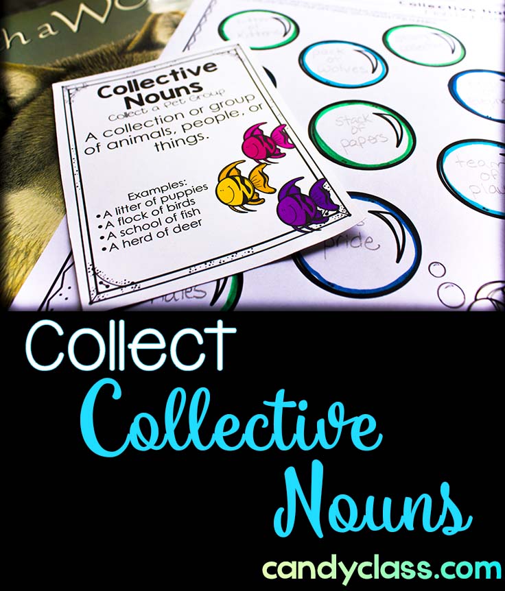 Collective Noun Task Cards