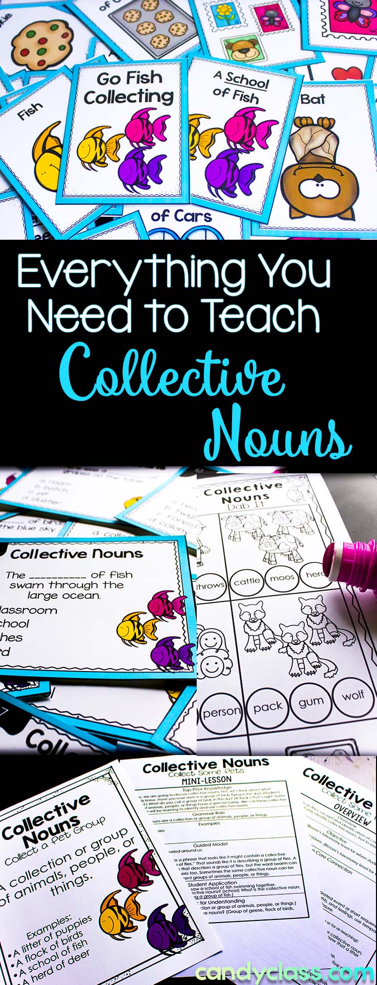 Everything You Need to Teach Collective Nouns Bundle