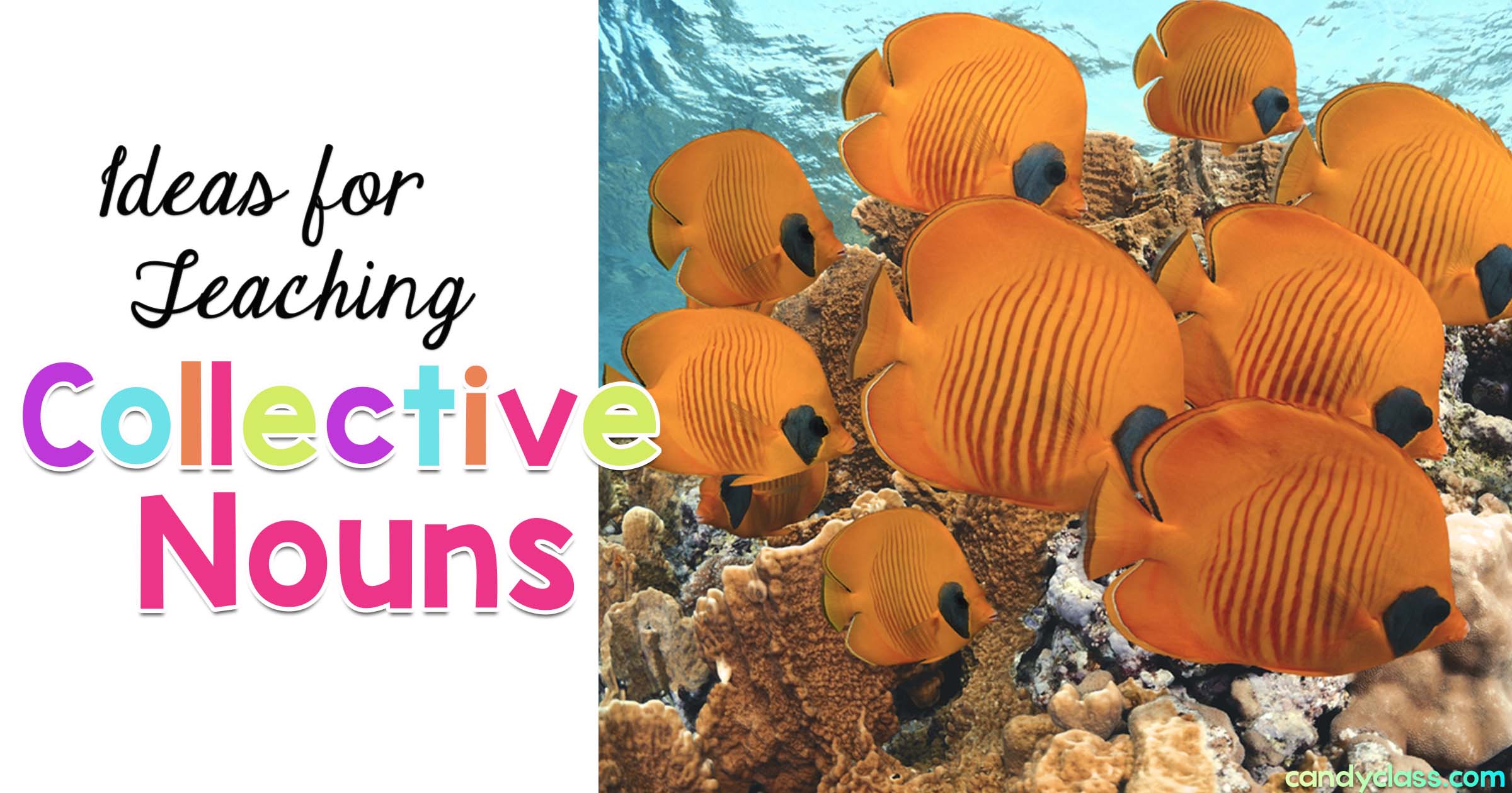 Ideas for Teaching Collective Nouns and a List