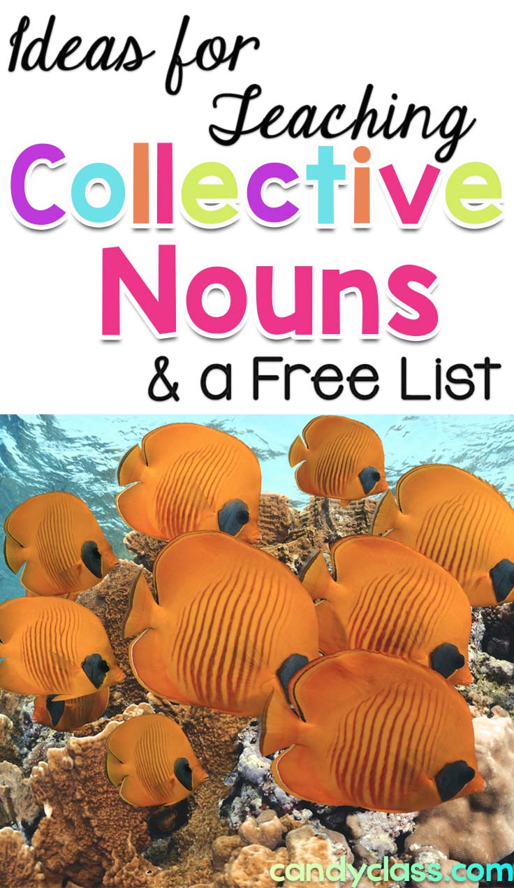 Ideas for Teaching Collective Nouns and a List
