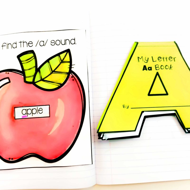 Sample of Alphabet Interactive Notebook Page